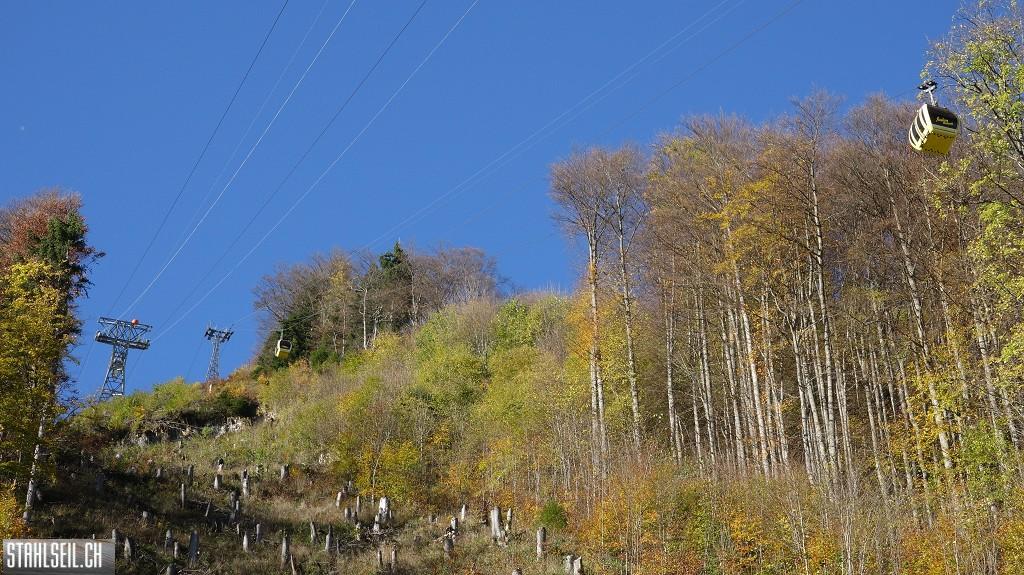 k-DSC06844.JPG