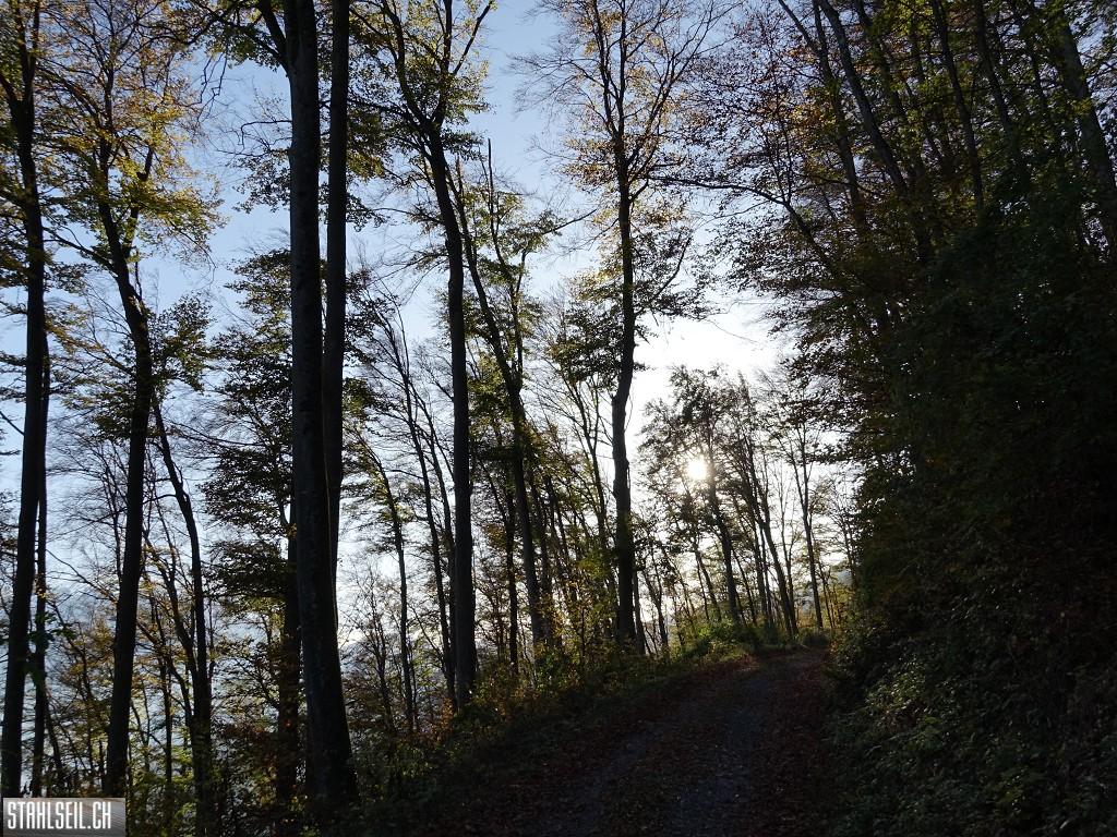 k-DSC06868.JPG