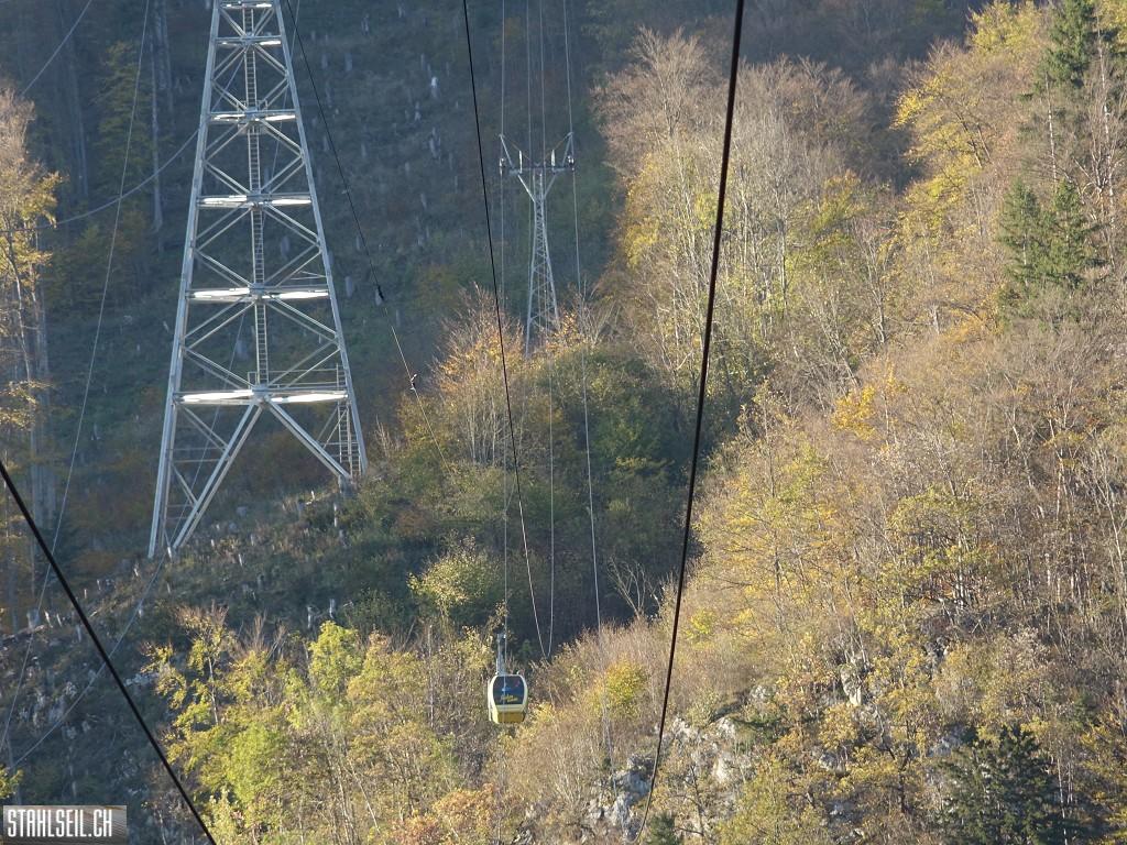 k-DSC06873.JPG