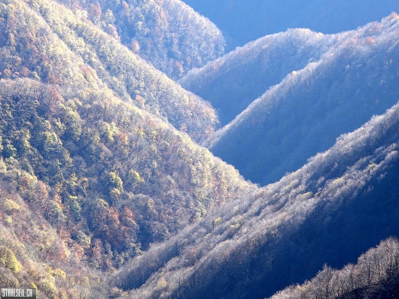 k-k-DSC07200.JPG