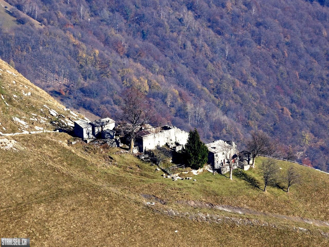 k-k-DSC07229.JPG