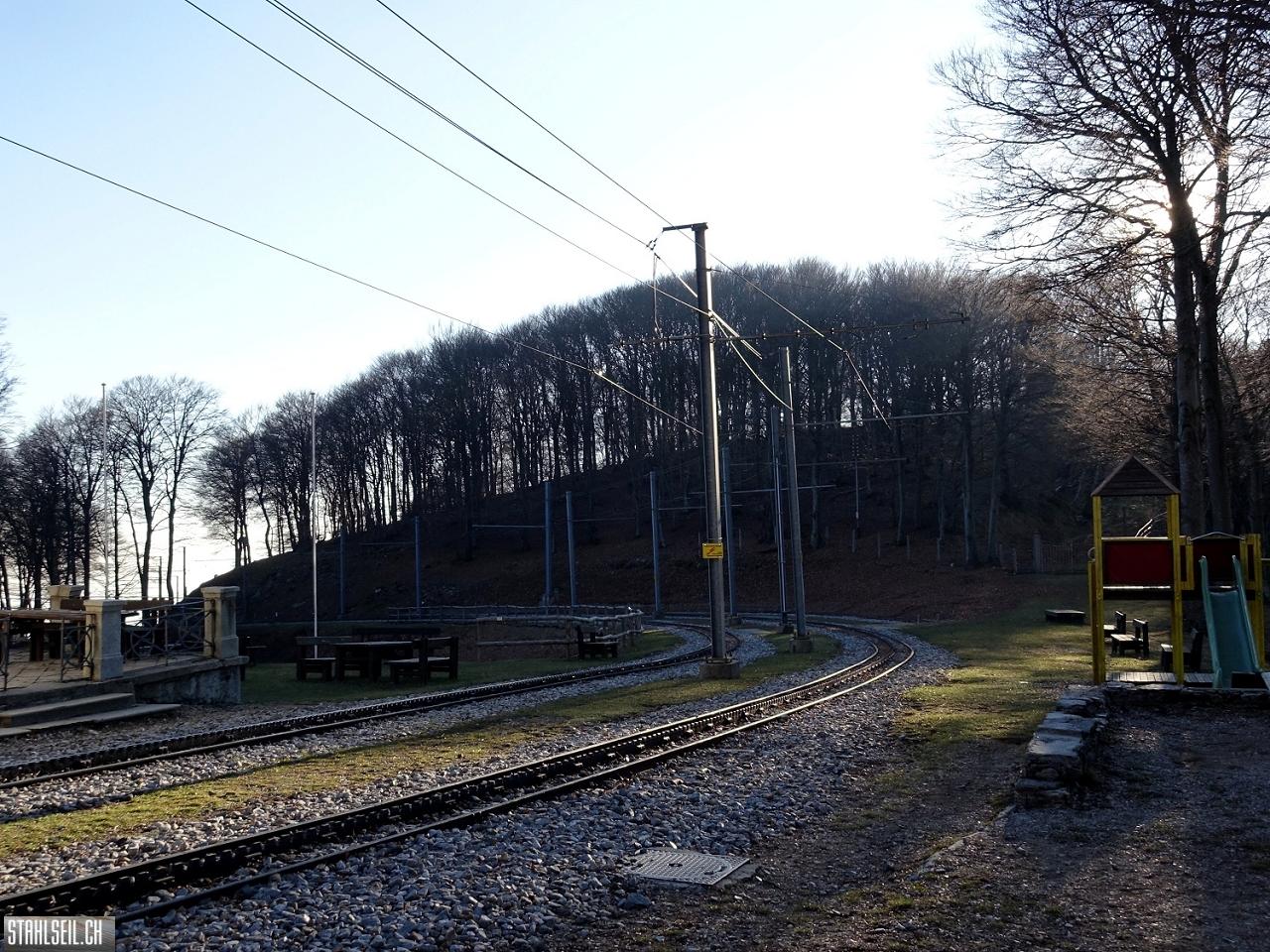 k-k-DSC07262.JPG