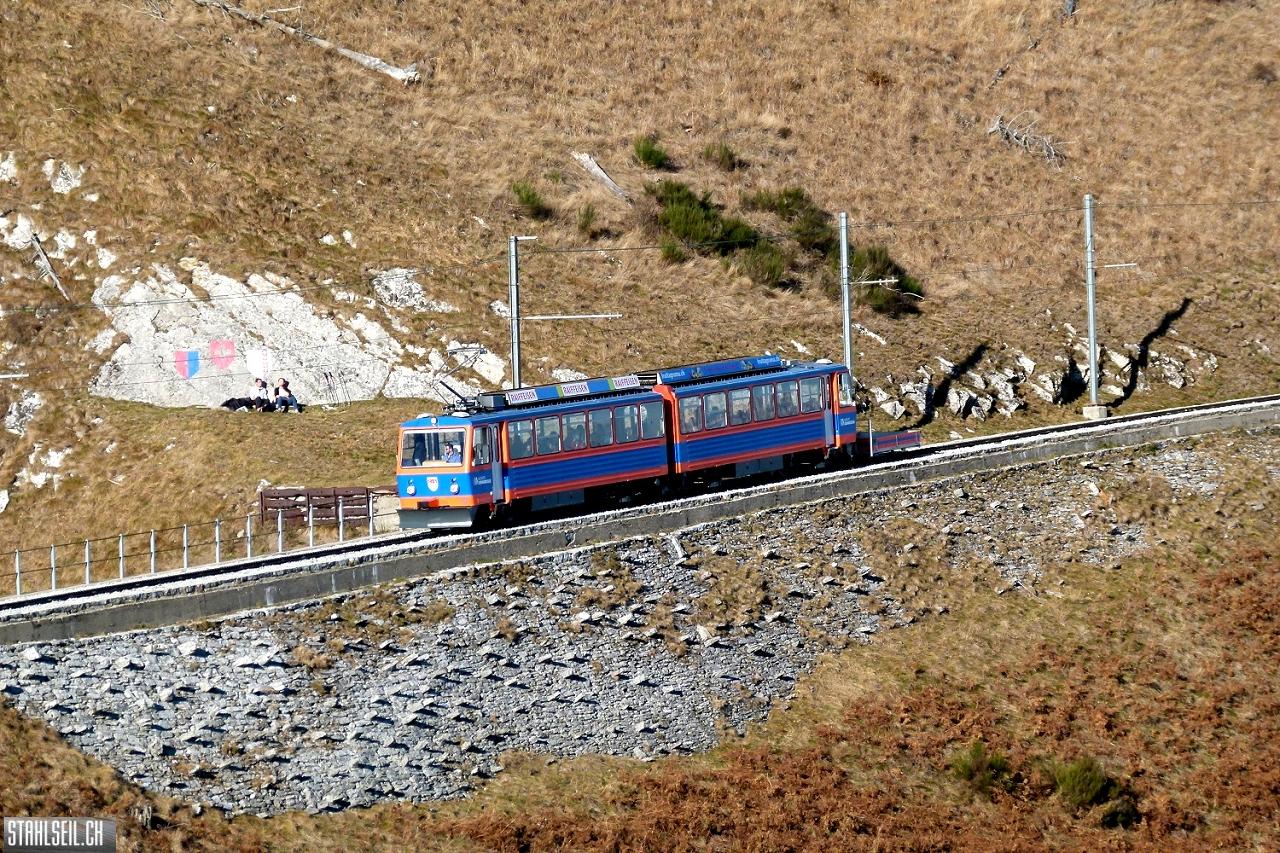k-k-P1710631.JPG