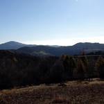 k-k-DSC07068.JPG