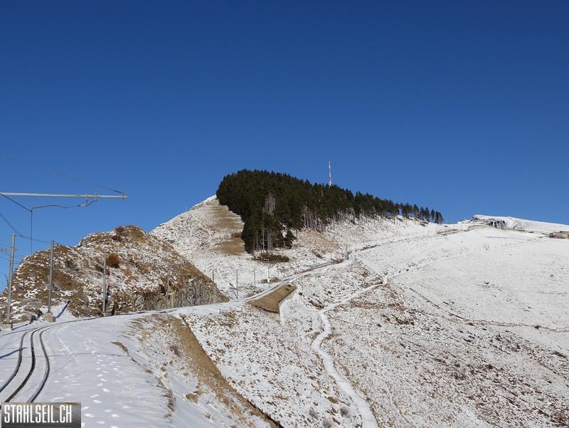 DSC07725.JPG