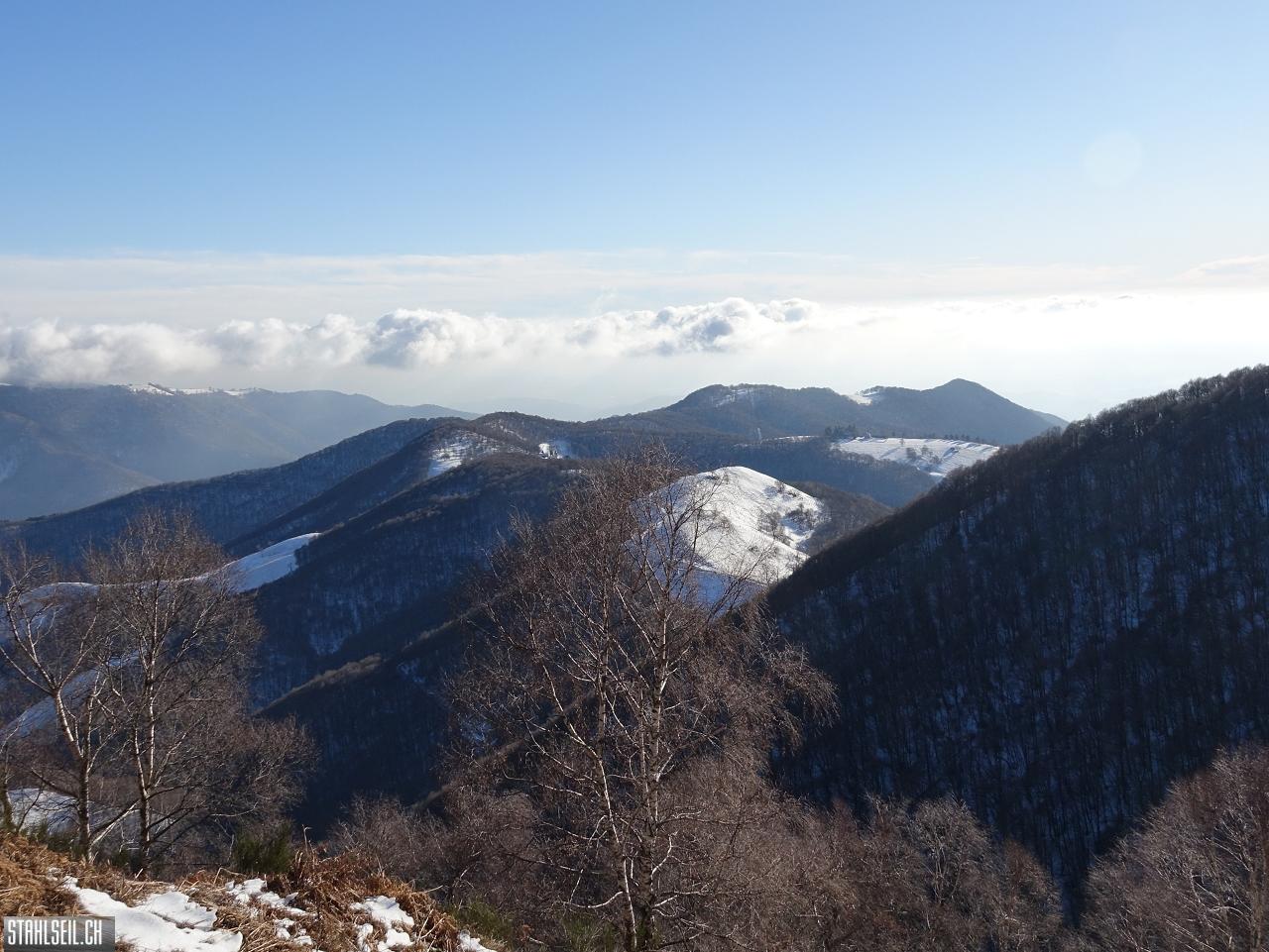 DSC07757.JPG