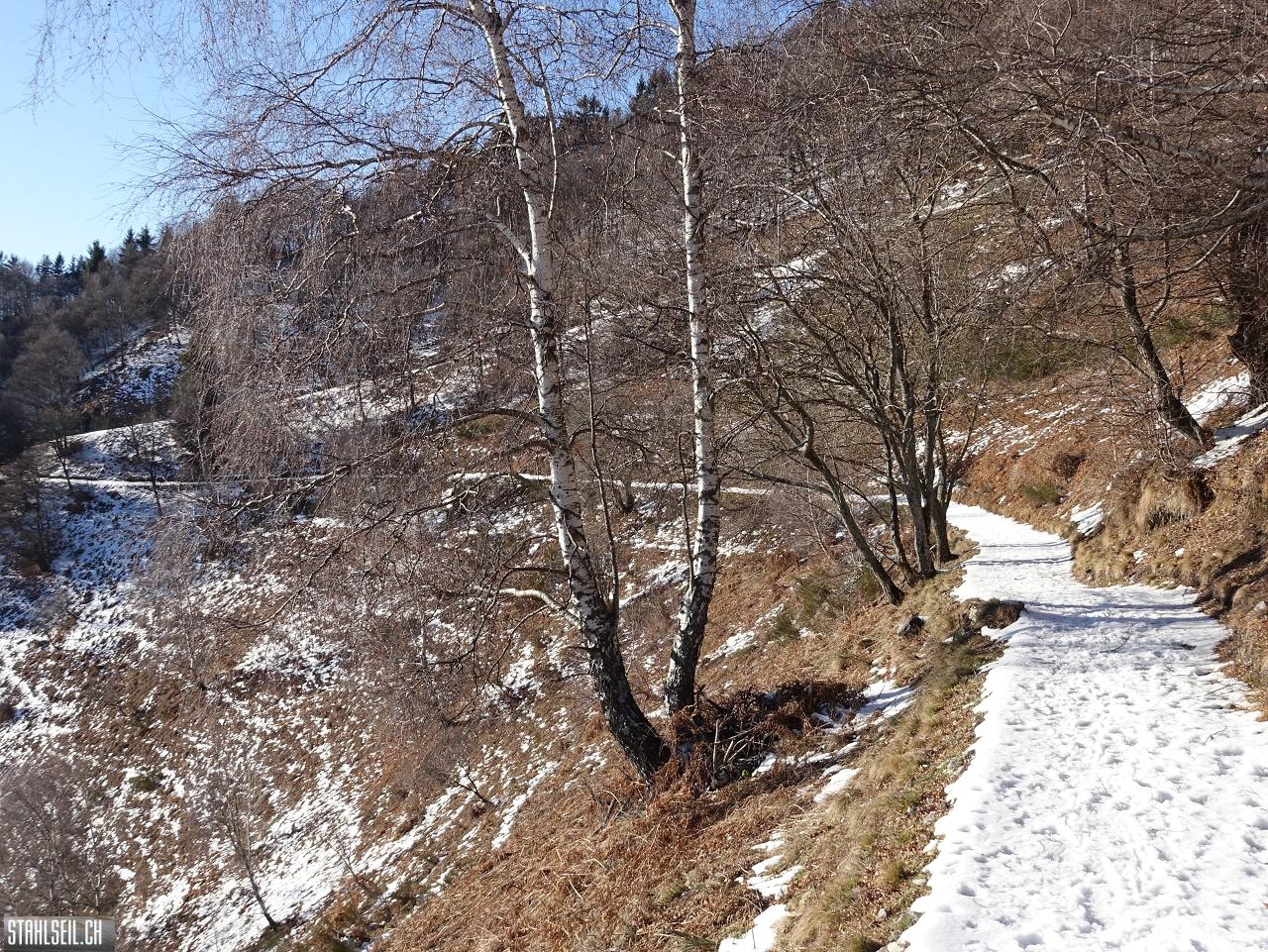 DSC07759.JPG