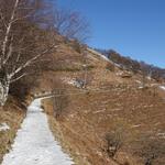 DSC07761.JPG