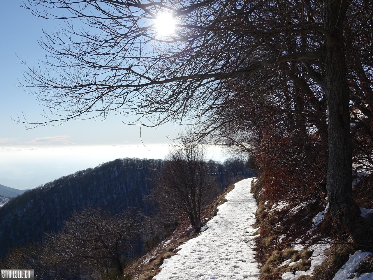 DSC07764.JPG