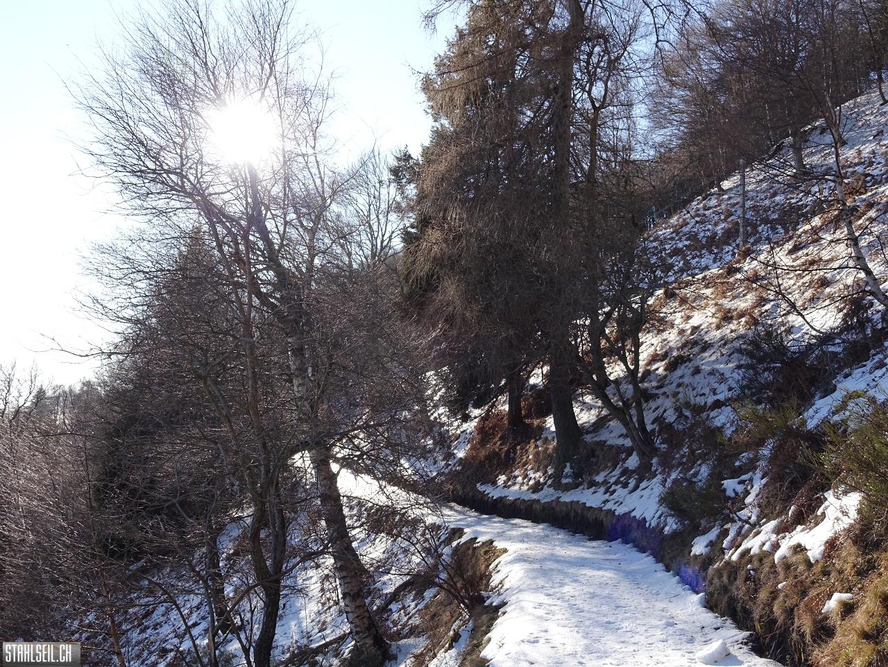 DSC07767.JPG