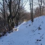 DSC07780.JPG