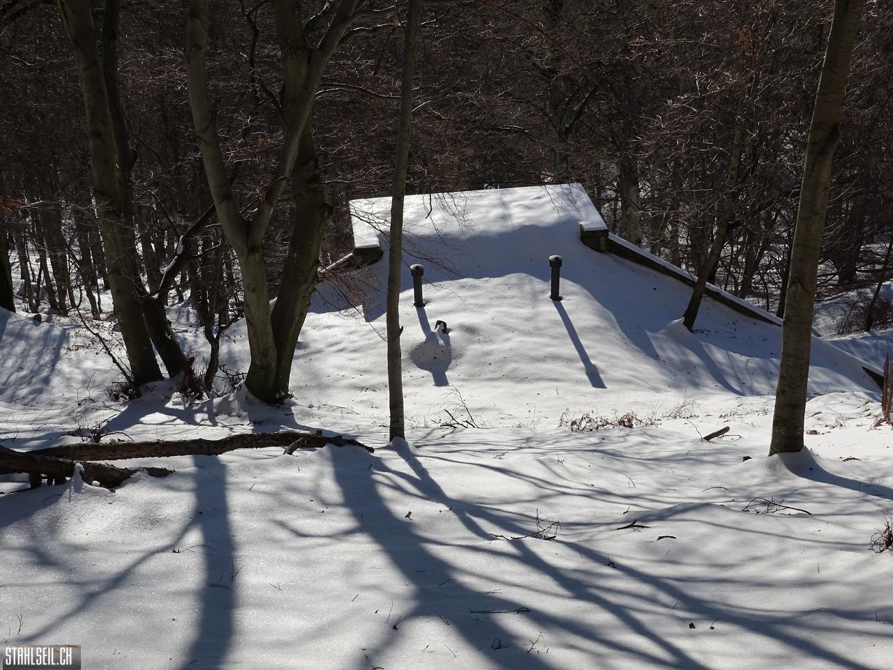 DSC07783.JPG