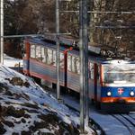 DSC07798.JPG