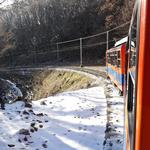 DSC07810.JPG