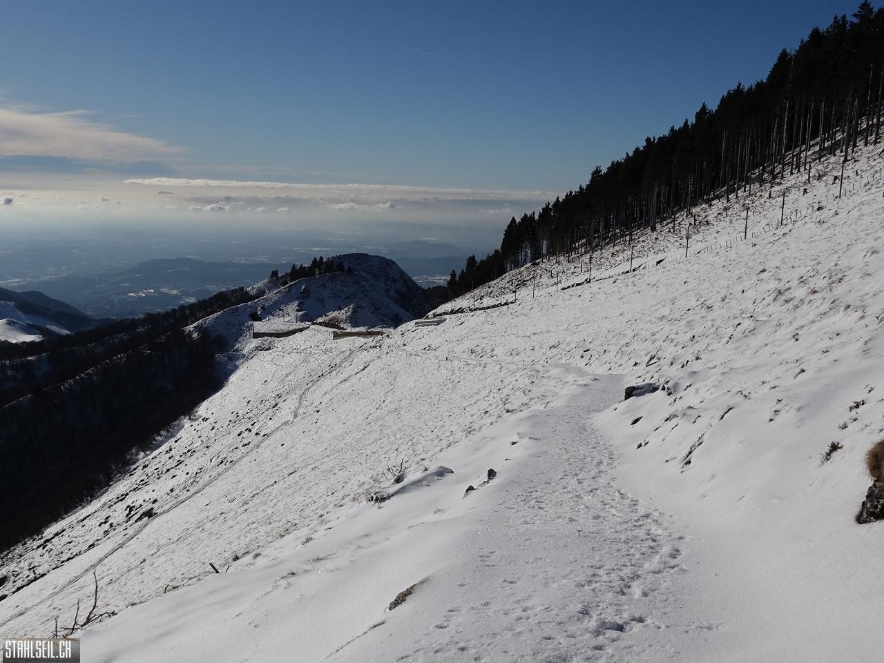 DSC07708.JPG