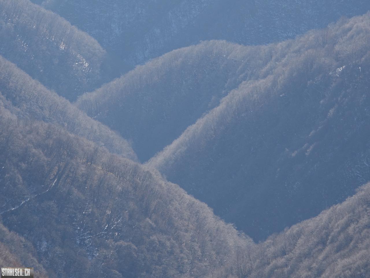 DSC07709.JPG