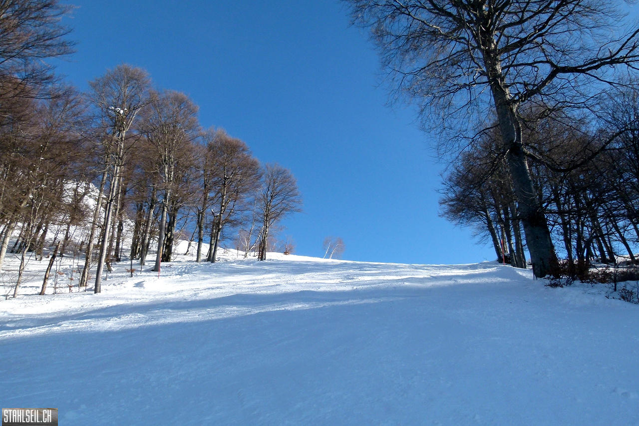 P1720315.JPG