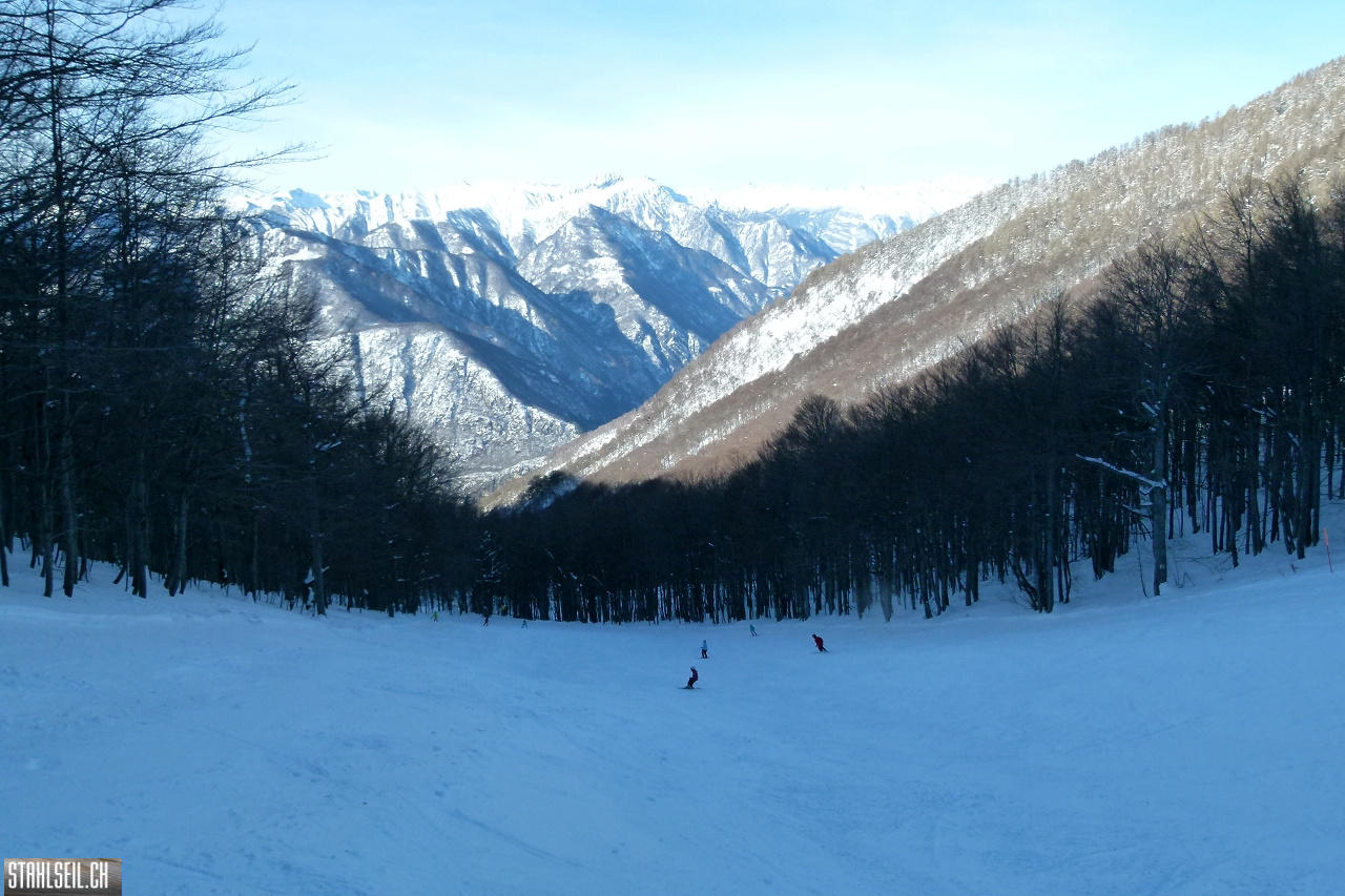 P1720317.JPG