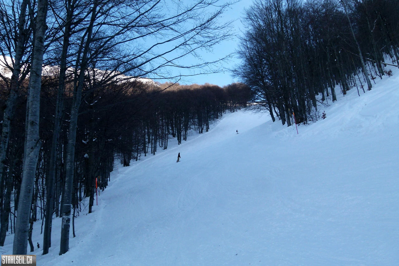 P1720324.JPG