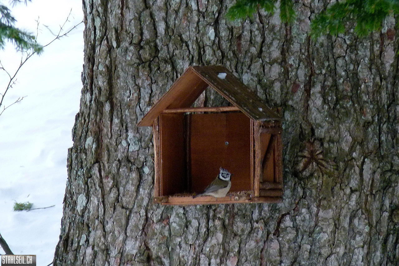 P1720474.JPG
