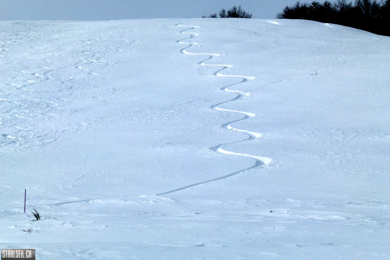 P1720492.JPG