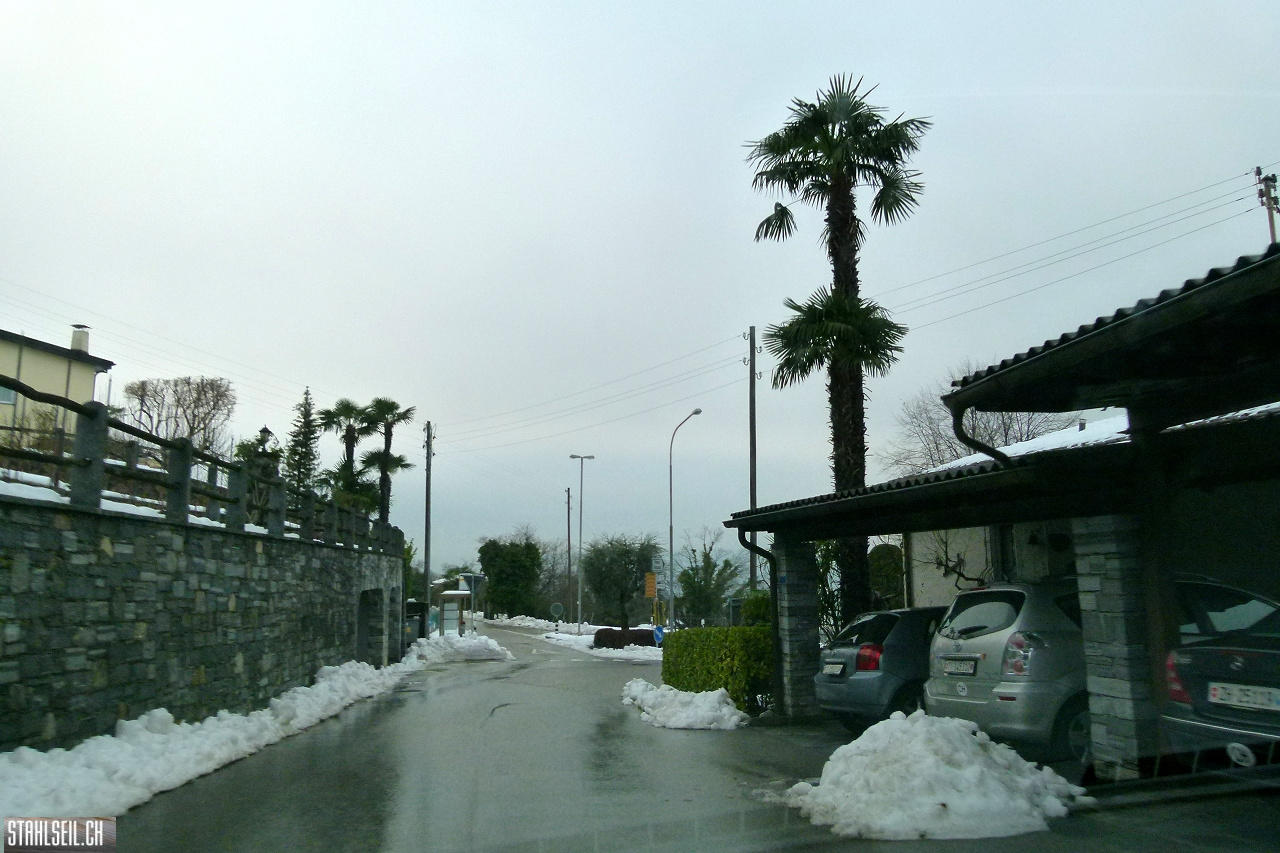 P1730199.JPG