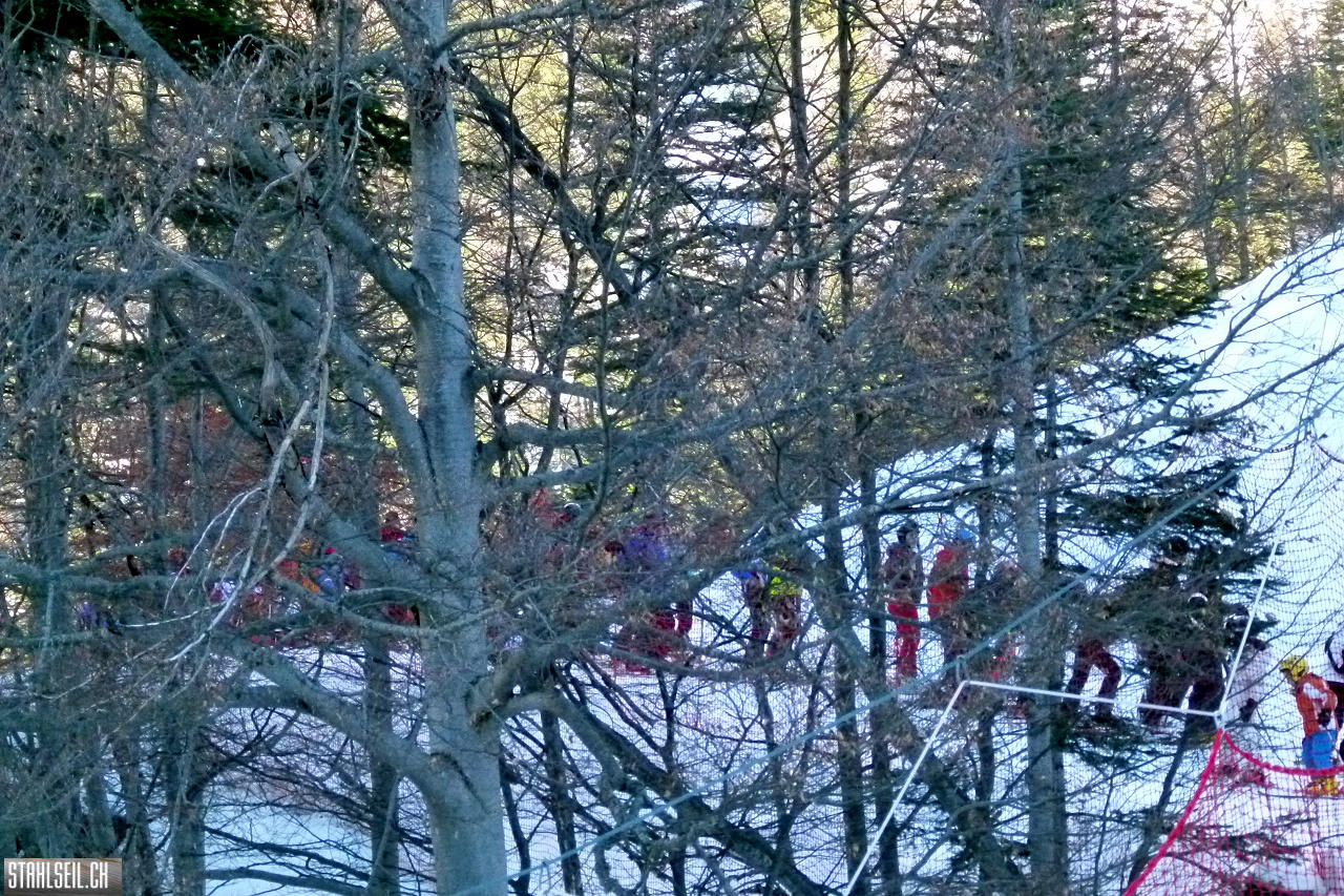 P1720576.JPG