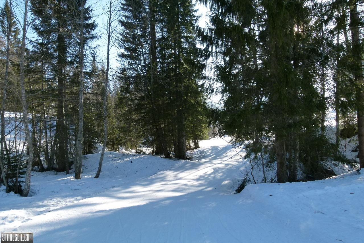 P1730832.JPG