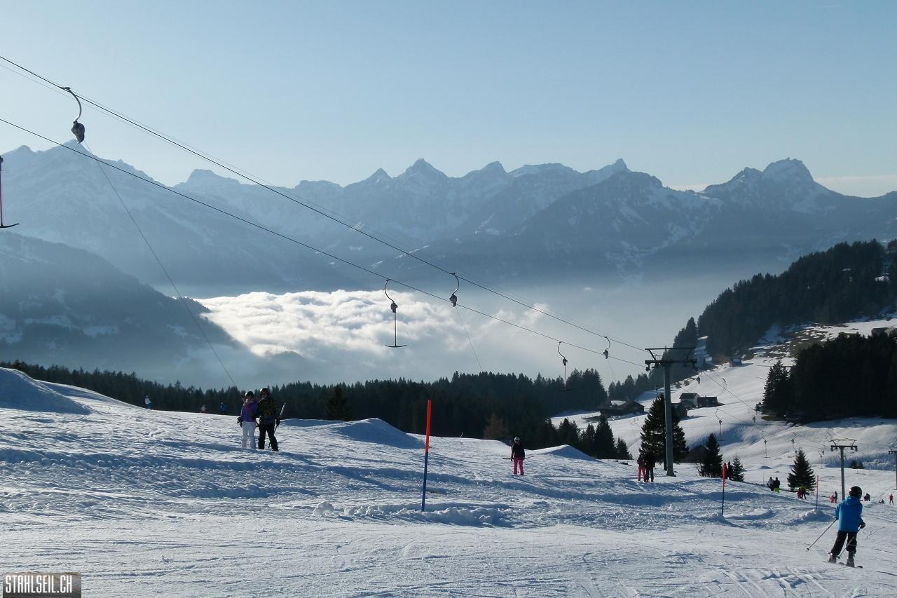P1730890.JPG