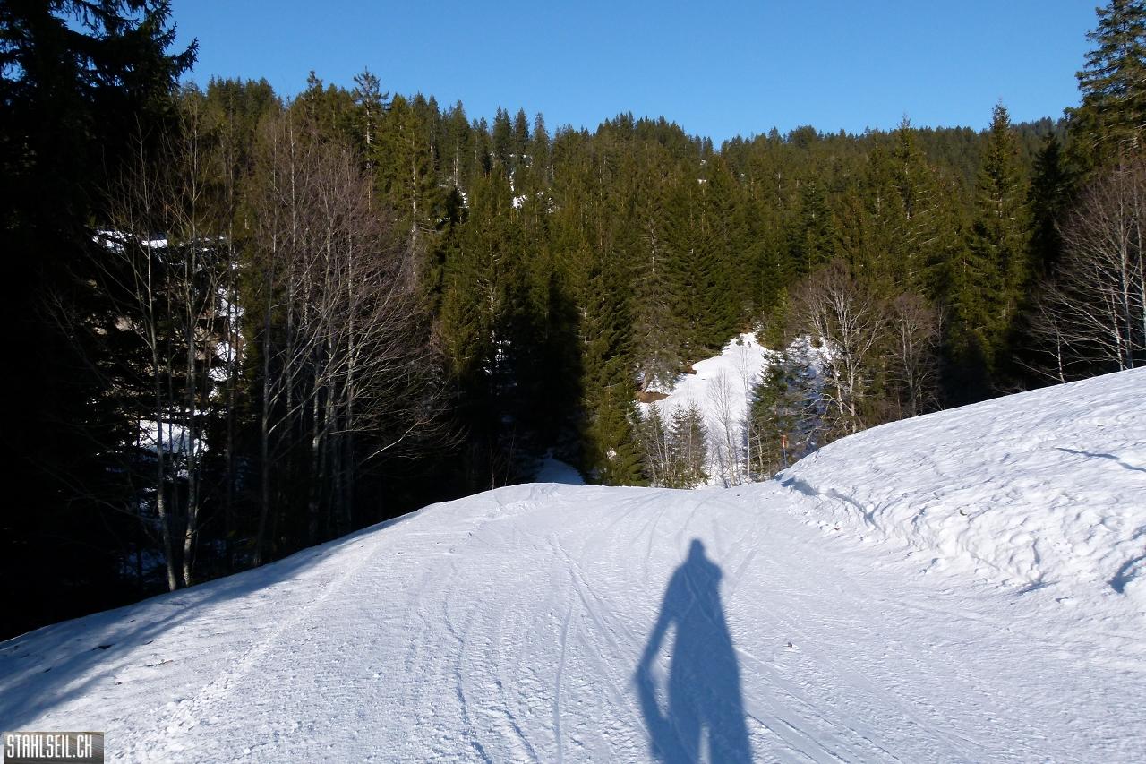P1730893.JPG