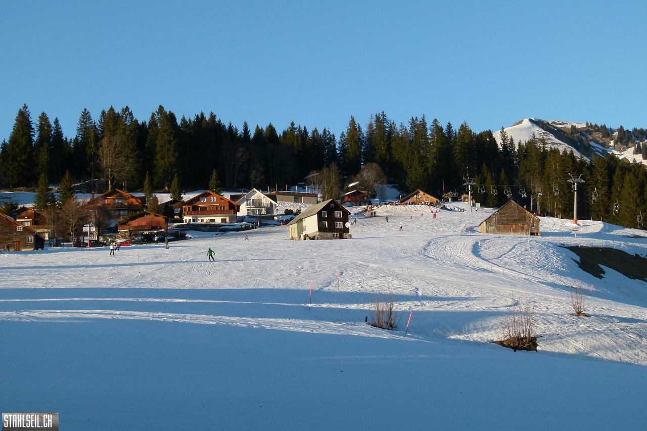 P1730980.JPG