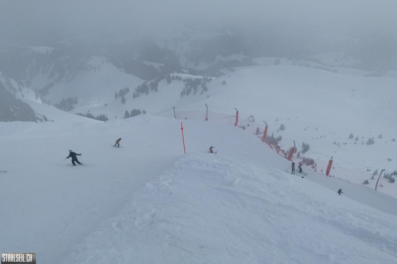 P1750856.JPG