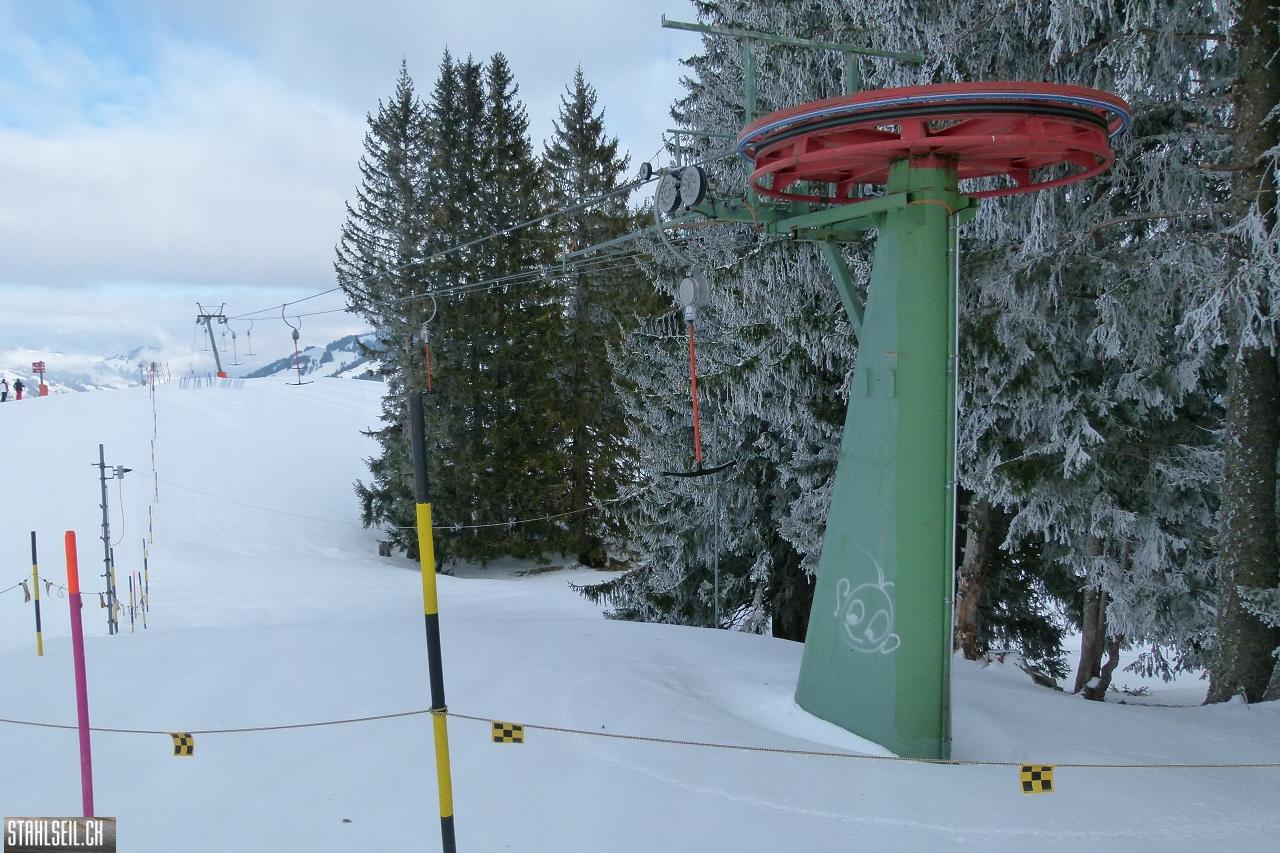 P1750893.JPG