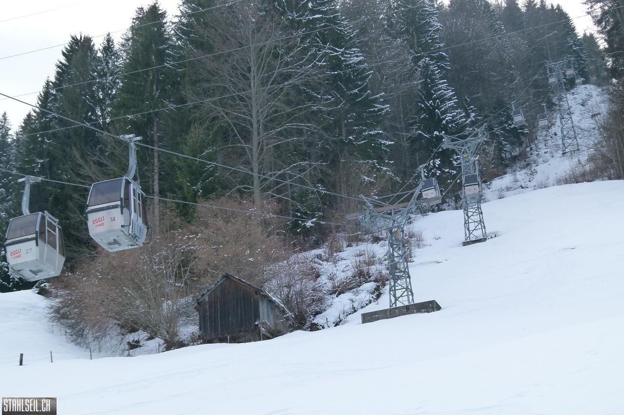P1750935.JPG