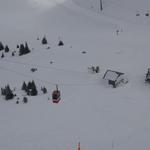 DSC09534.JPG