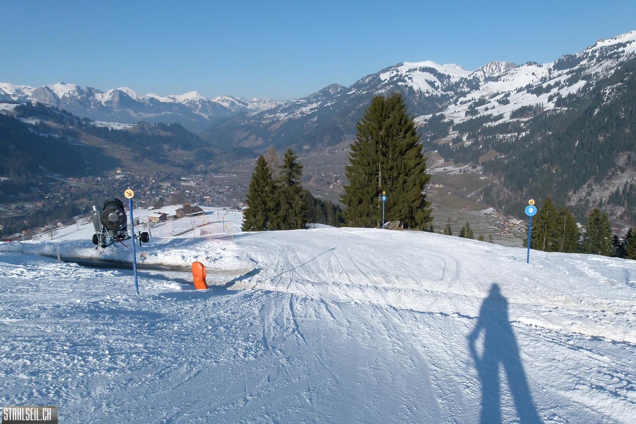 P1760853.JPG