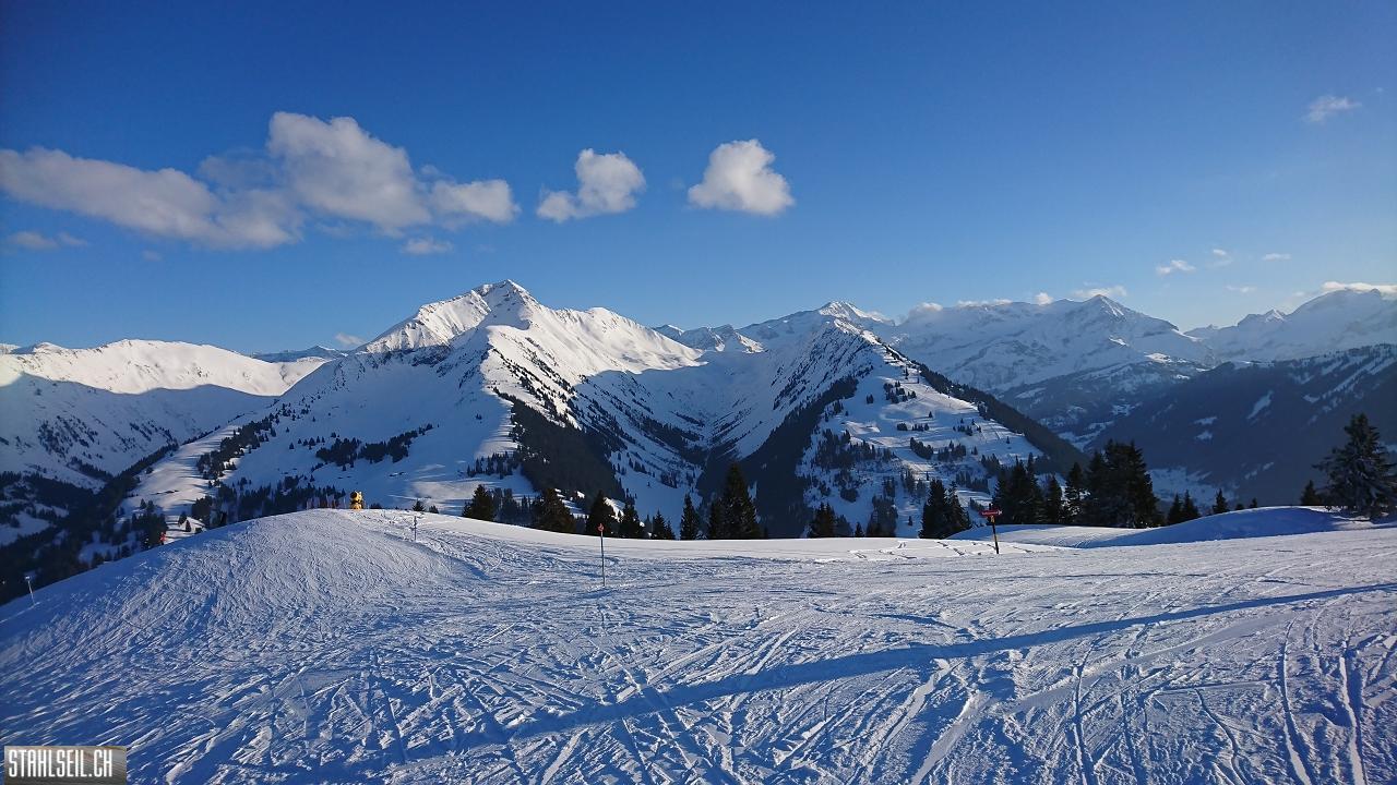 DSC_0100.JPG