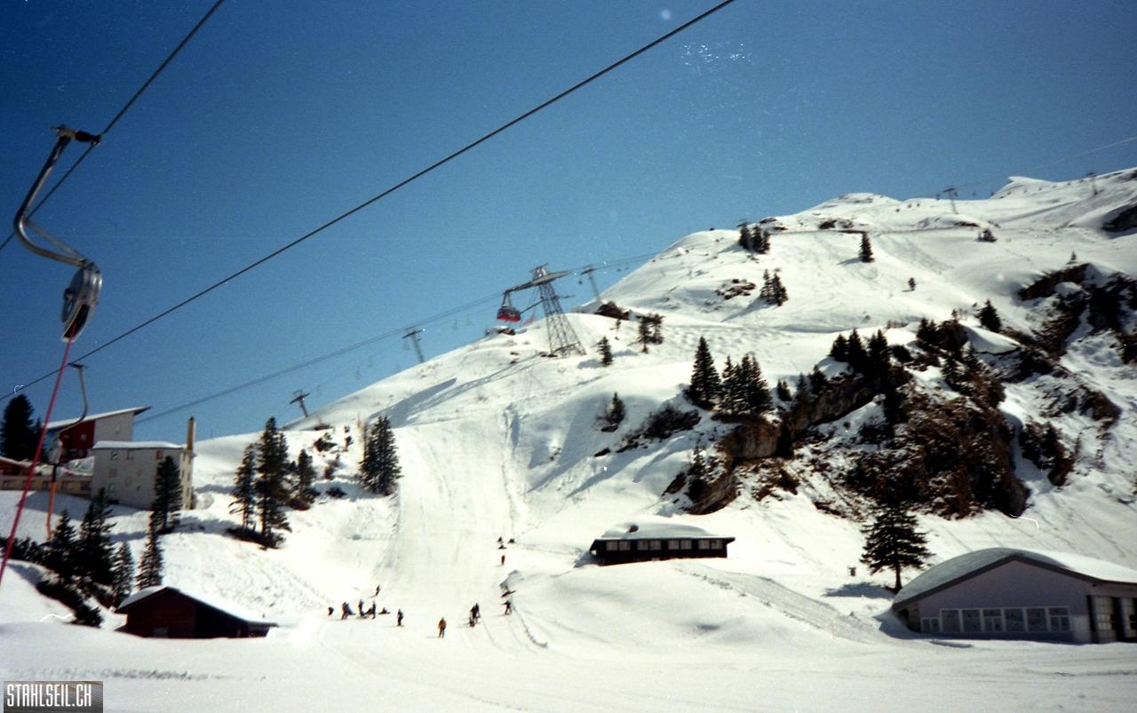 img191.jpg