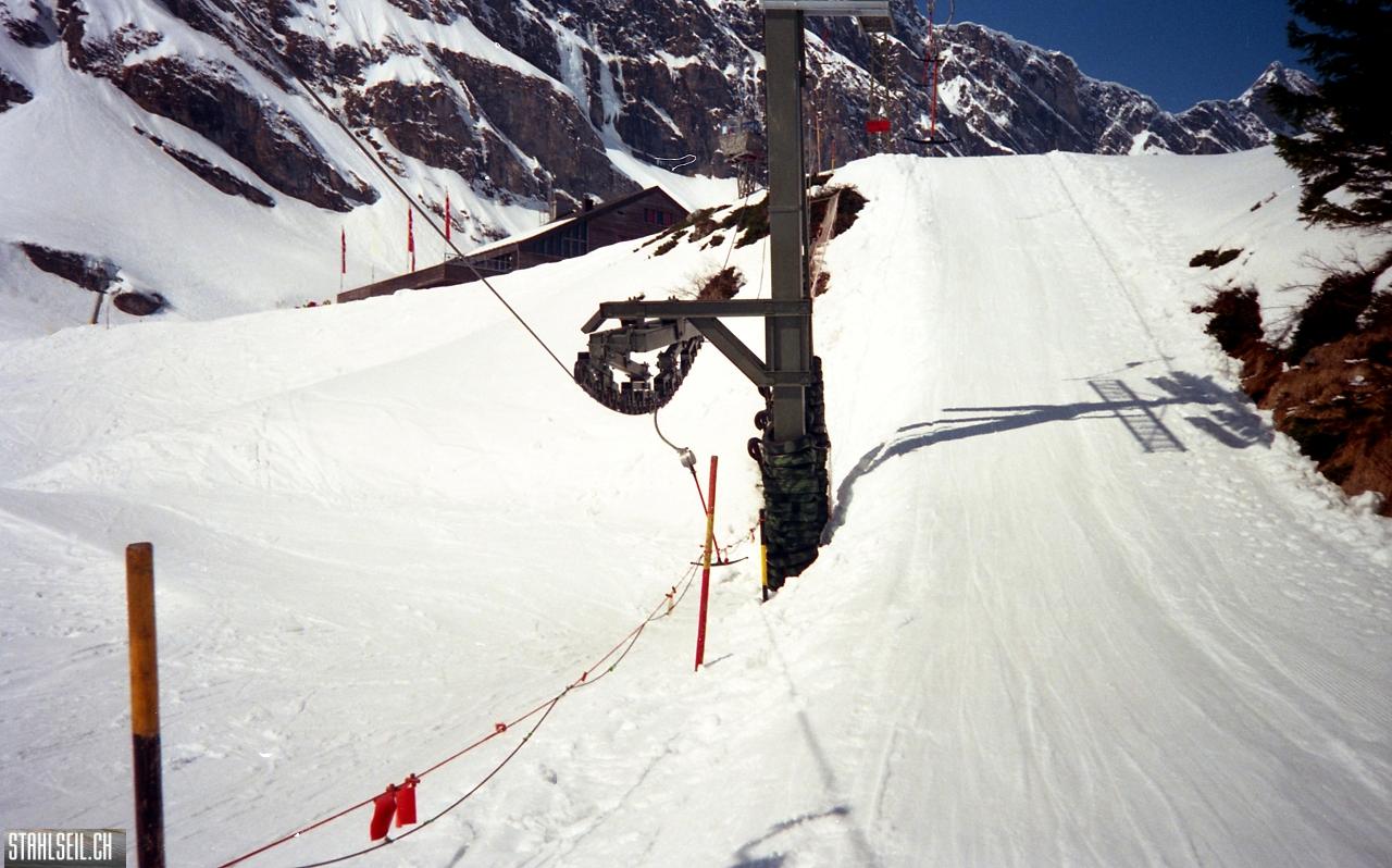 img195.jpg