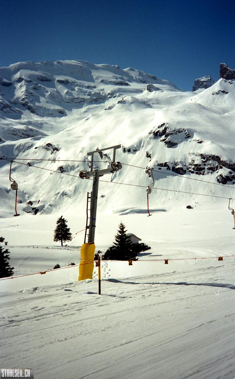 img197.jpg