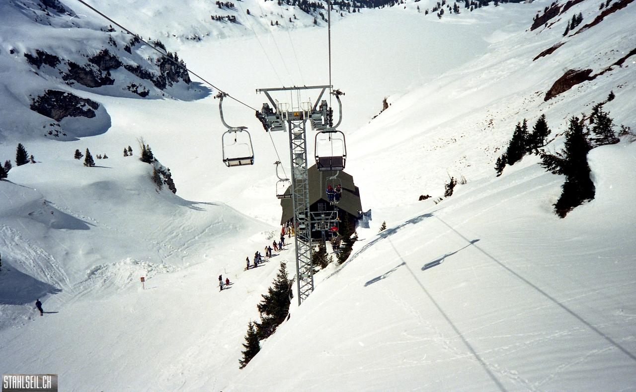 img217.jpg