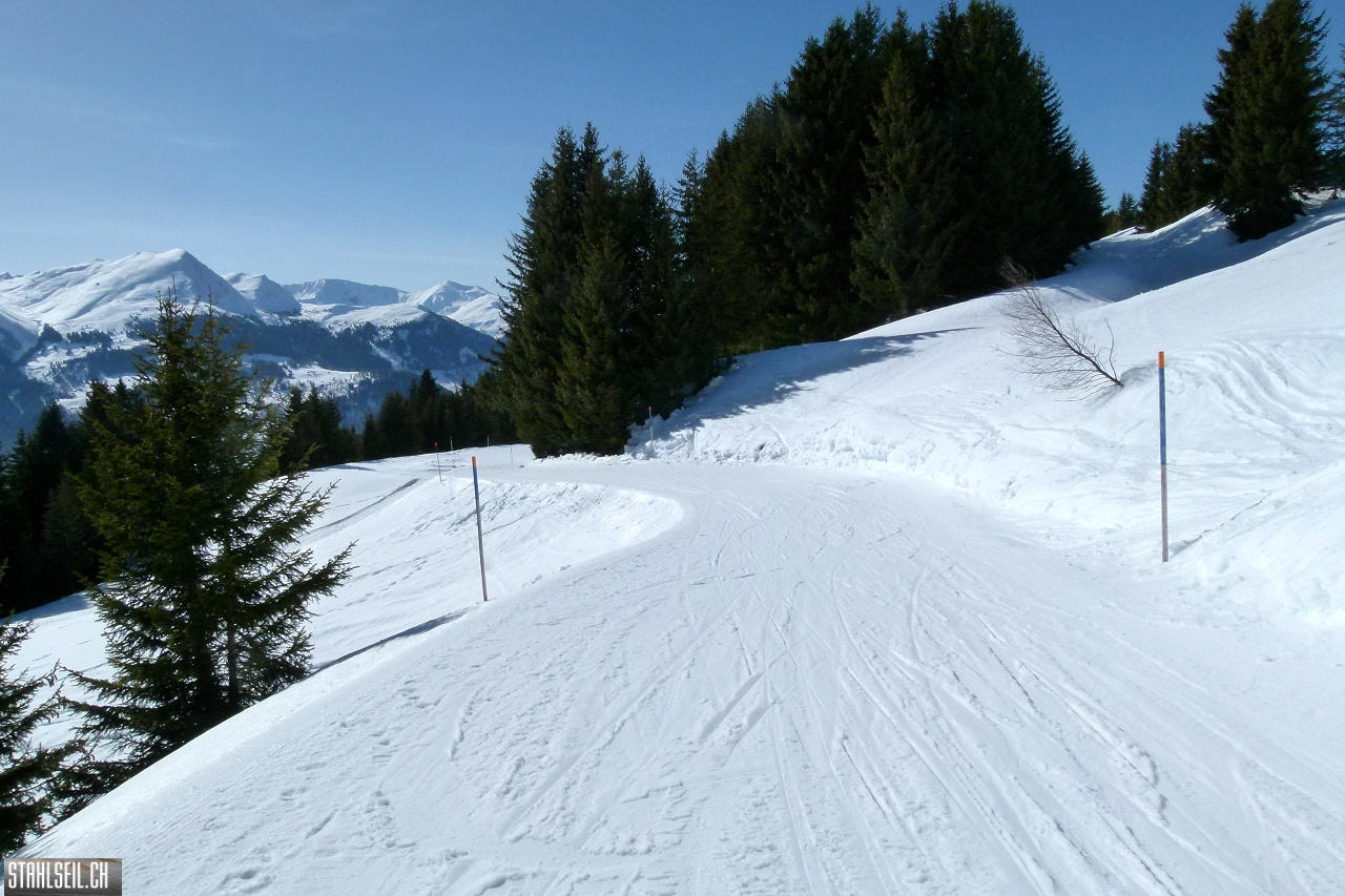 P1780165.JPG