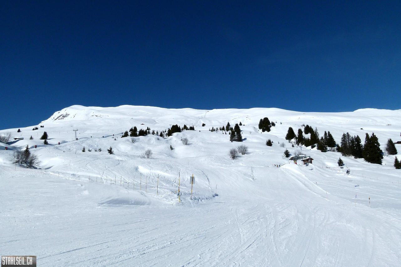 P1780210.JPG