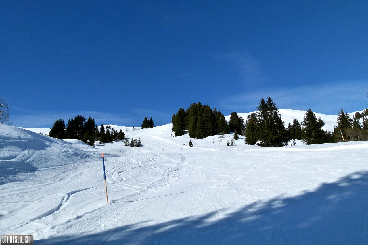 P1780361.JPG
