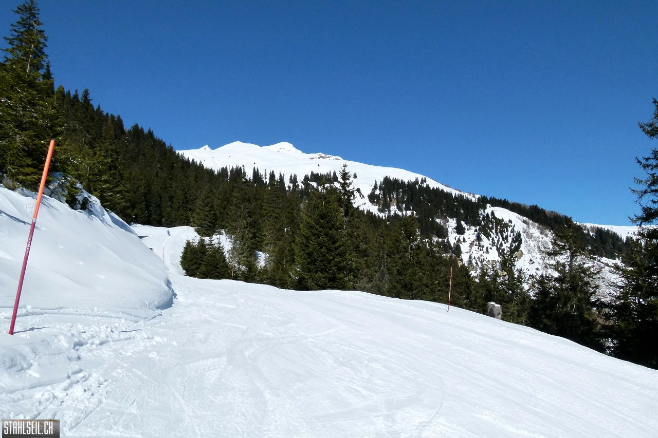 P1780561.JPG