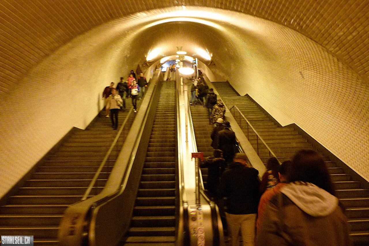 P1790067.JPG
