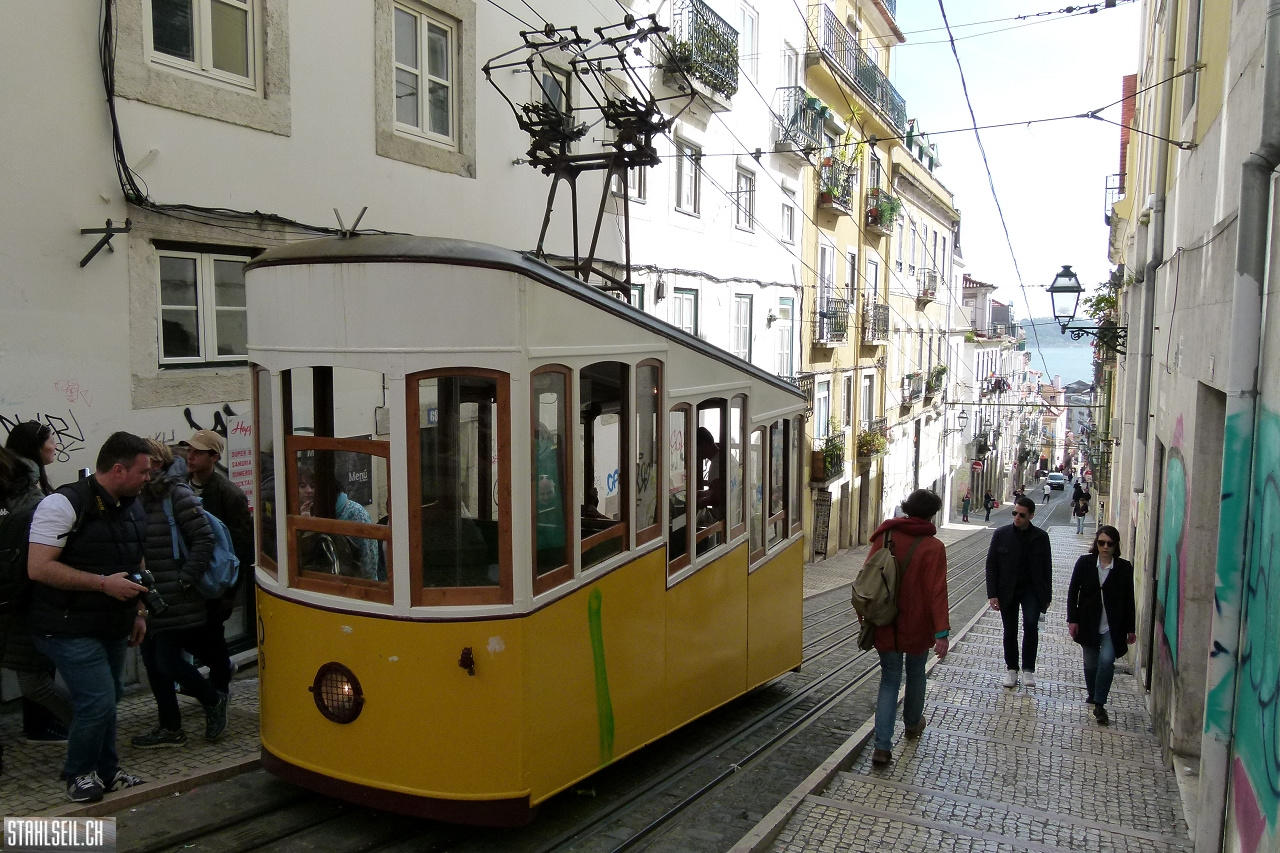 P1790652.JPG