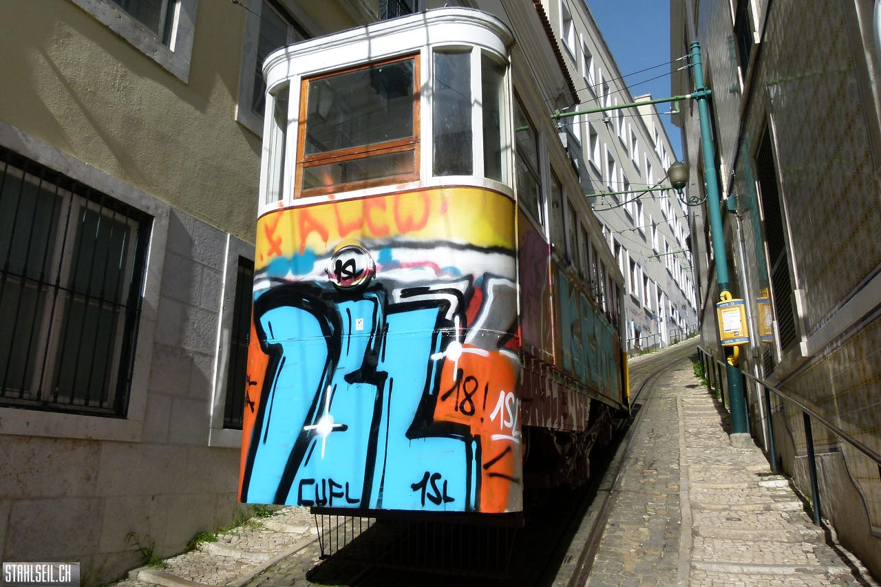 P1790684.JPG
