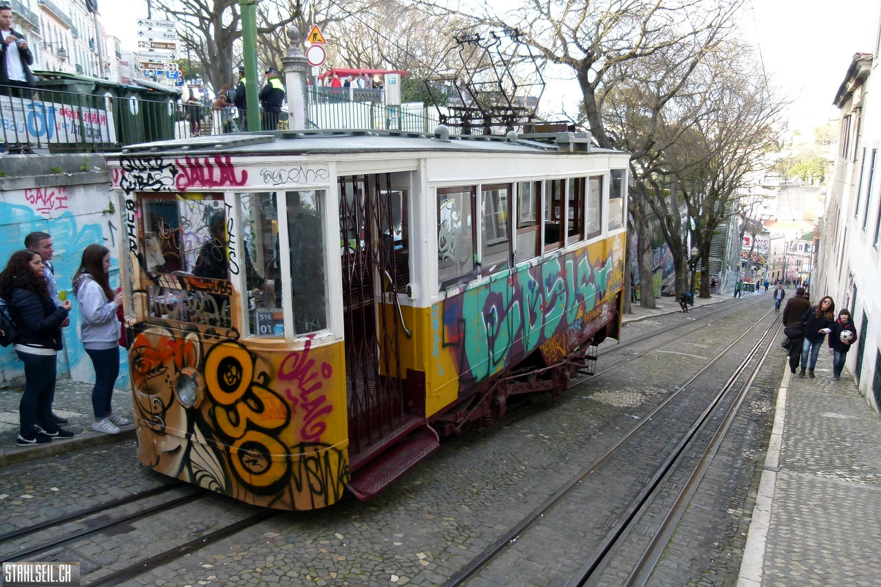 P1790765.JPG