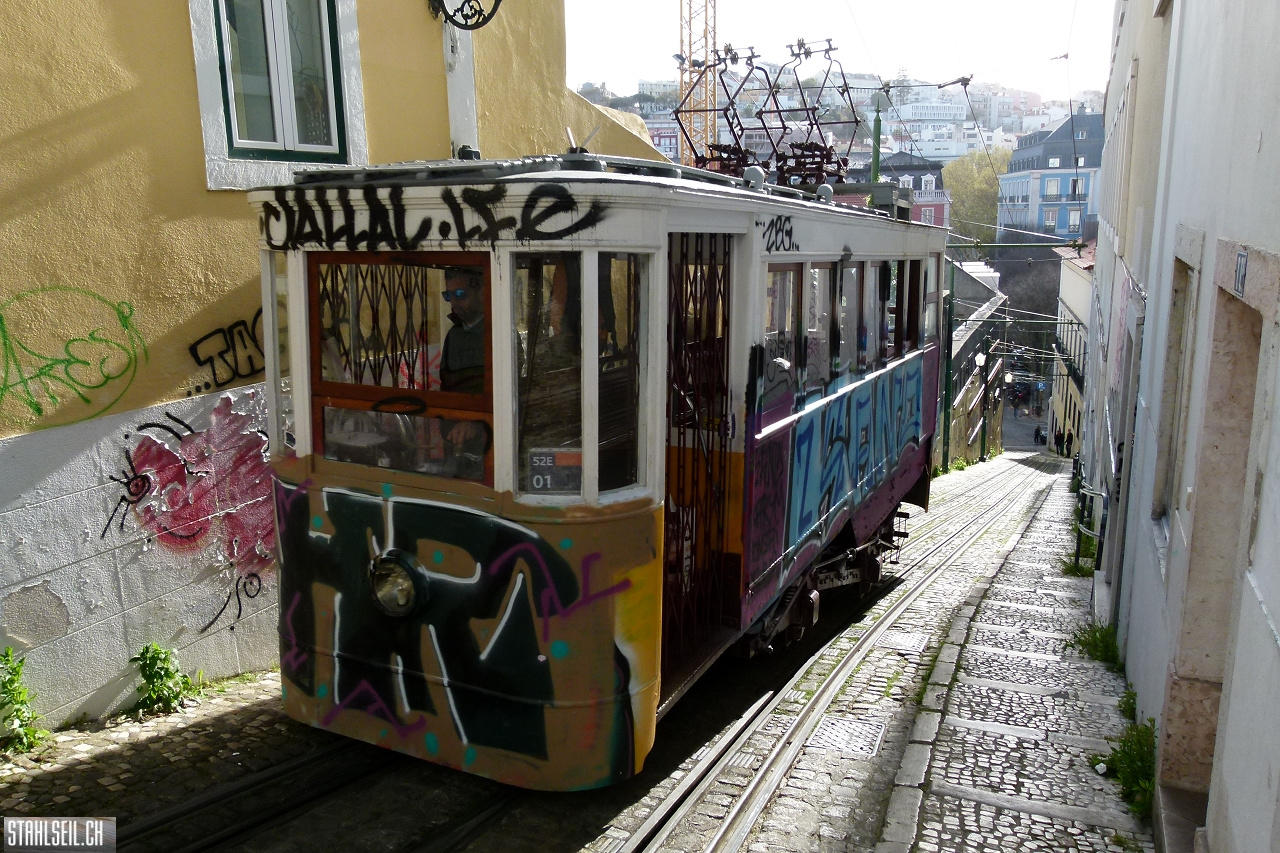 P1790729.JPG